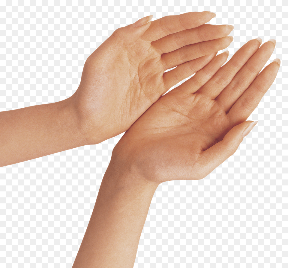 Praying Hands, Body Part, Finger, Hand, Person Free Png Download