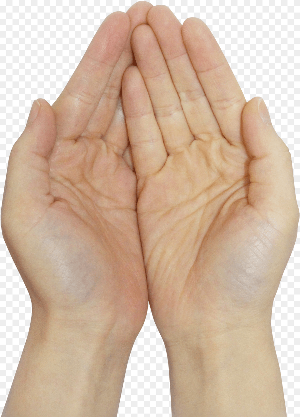 Praying Hands Image Transparent Pray Hand, Body Part, Person, Wrist, Finger Free Png