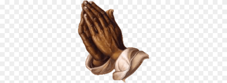 Praying Hands Prayer Corvonts Praying Hands Images Hd, Person Png Image