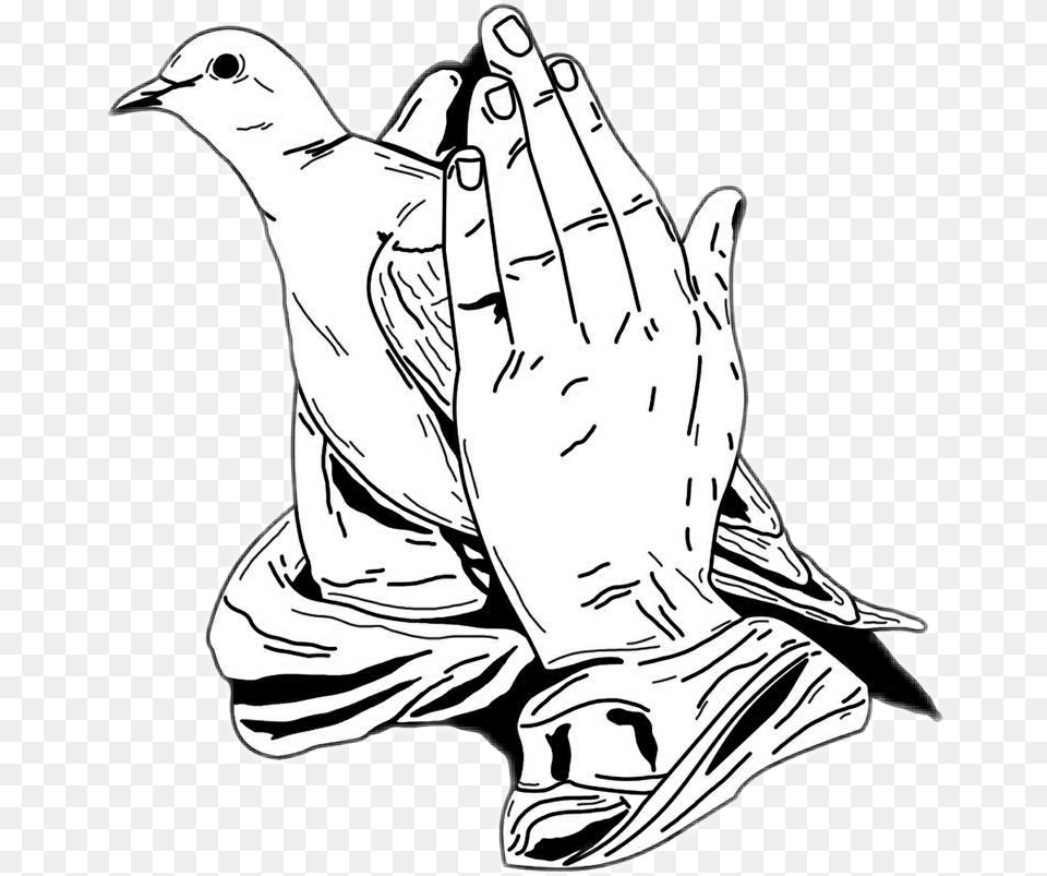 Praying Hands With Dove, Person, Art, Face, Head Png