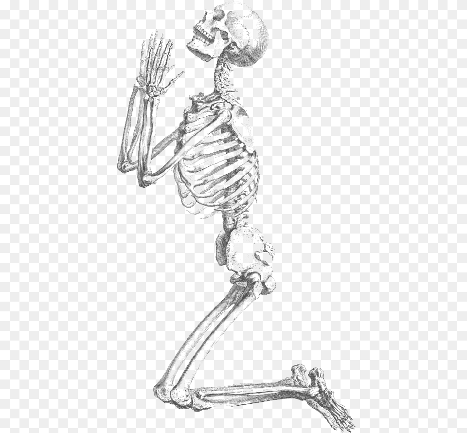 Praying Holiday Halloween Html Praying Skeleton Free Transparent Png