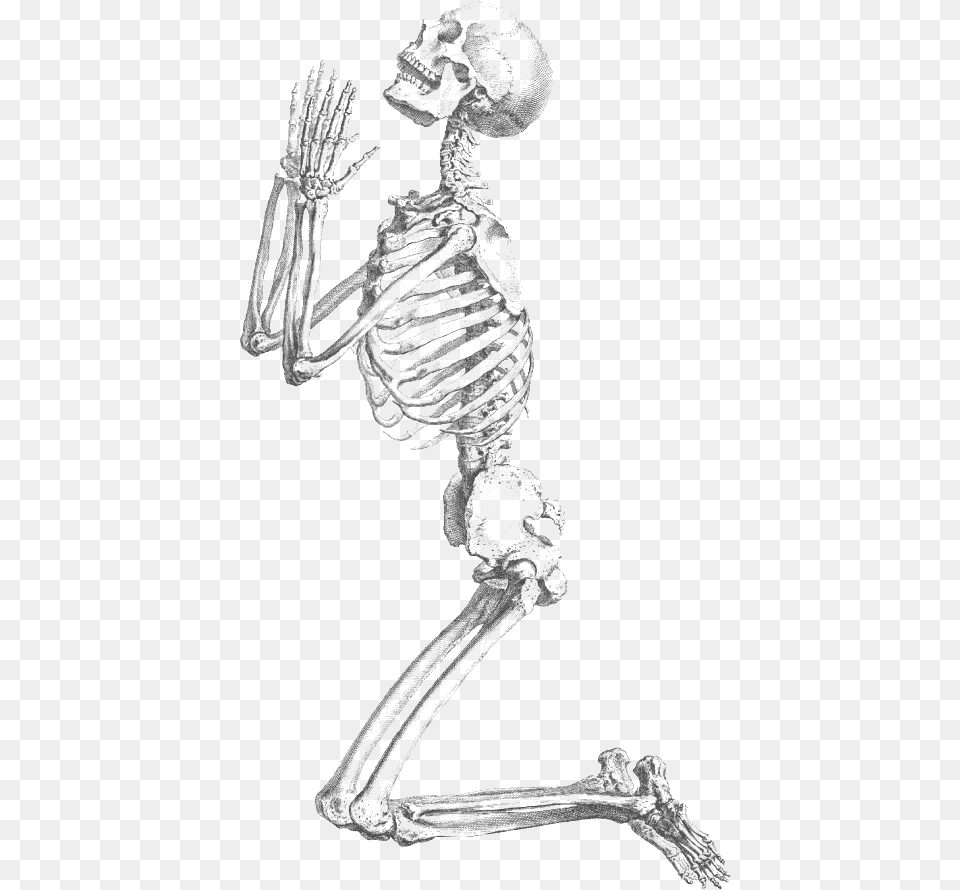 Praying Holiday Halloween Html William Cheselden Praying Skeleton Png Image