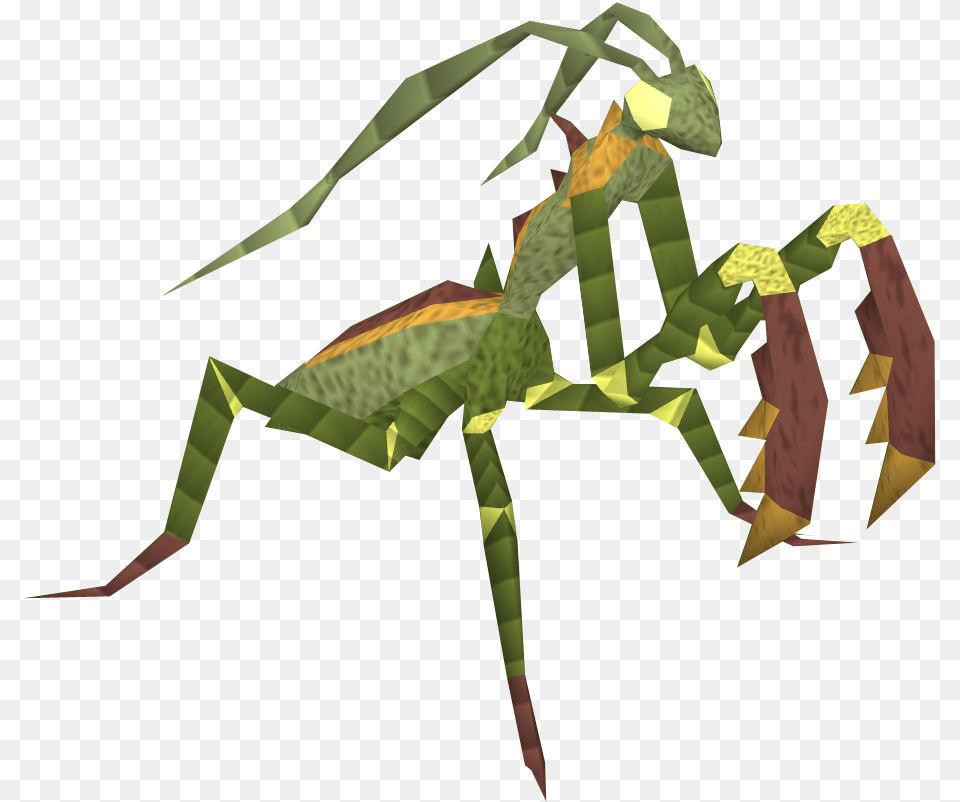 Praying Mantis, Animal Free Transparent Png
