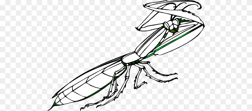 Praying Mantis Clip Art, Animal, Invertebrate, Insect, Wasp Free Png