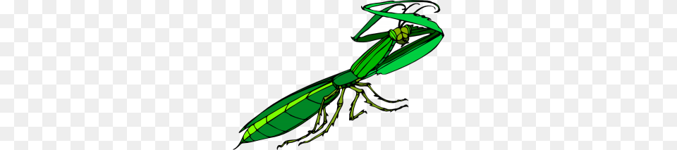 Praying Mantis Clip Art Cartoon Praying Mantis Clip Art, Animal, Invertebrate, Insect, Wasp Png