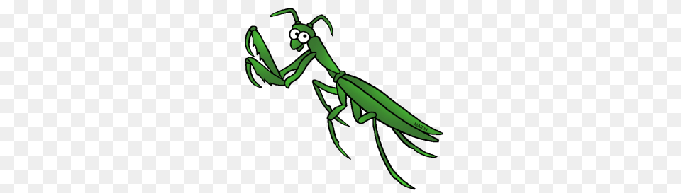 Praying Mantis Clip Art United States Clip Art Phillip Martin, Animal, Insect, Invertebrate Png Image