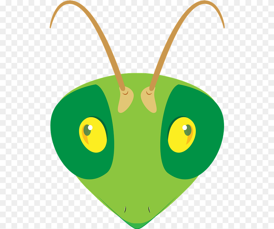 Praying Mantis Face Clipart Happy, Animal, Accessories, Jewelry, Necklace Free Png Download