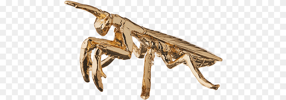 Praying Mantis Gold Plated Figurine, Bronze, Animal, Antelope, Mammal Free Png Download