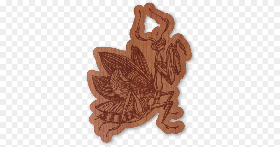 Praying Mantis Mantis, Wood, Person, Art Png Image