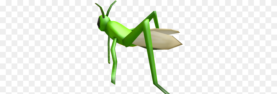 Praying Mantis Roblox Parasitism, Animal, Grasshopper, Insect, Invertebrate Free Png Download