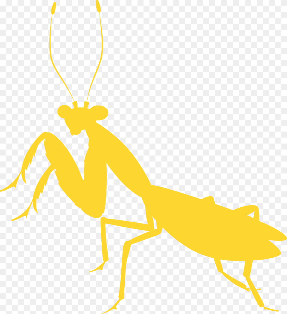 Praying Mantis Silhouette, Animal, Insect, Invertebrate, Kangaroo Free Transparent Png