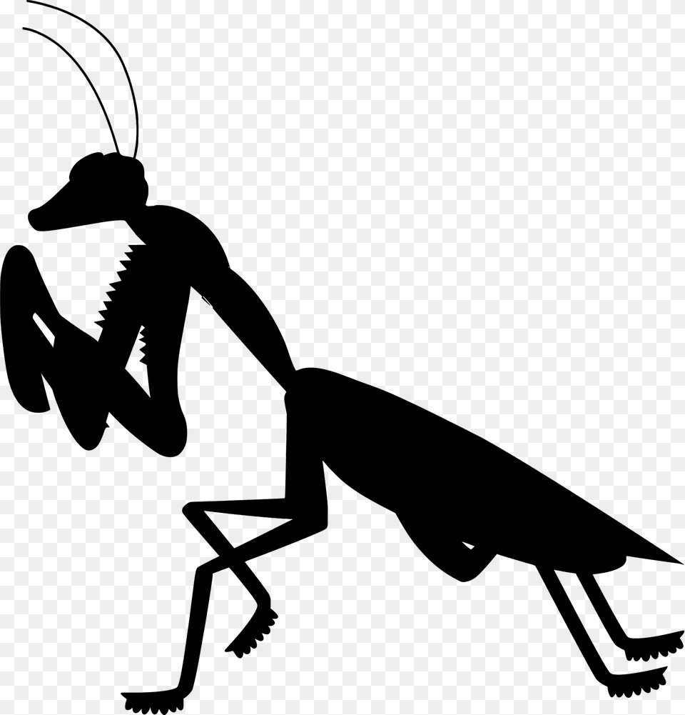 Praying Mantis Silhouette, Animal, Insect, Invertebrate, Kangaroo Free Transparent Png