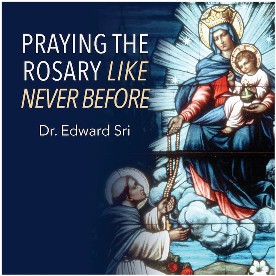 Praying The Rosary Like Never Before By Dr Poster, Book, Comics, Publication, Person Png