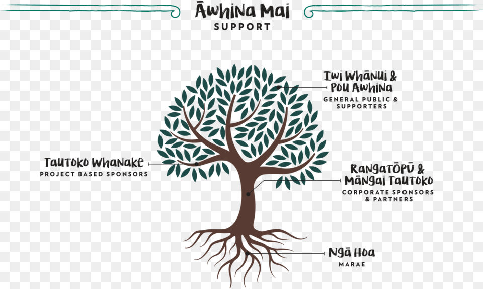 Prc Support Awhina Mai Foundations Of Mathematics By Ian Stewart, Plant, Tree, Root, Vegetation Free Transparent Png