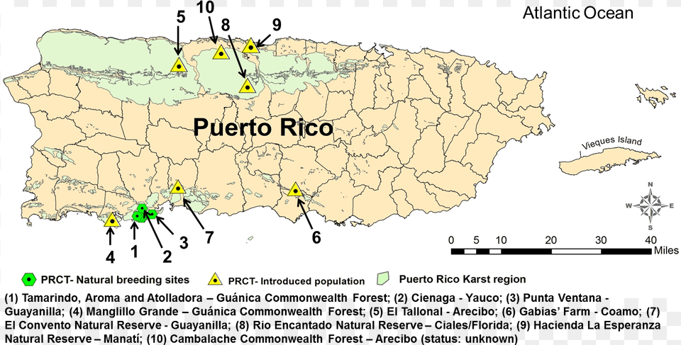 Prct Map Puerto Rico En Blanco, Chart, Plot, Atlas, Diagram Png Image