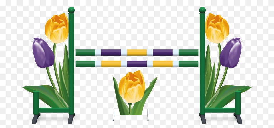 Pre Built Jumps Jump Joy Usa, Flower, Plant, Bench, Furniture Png