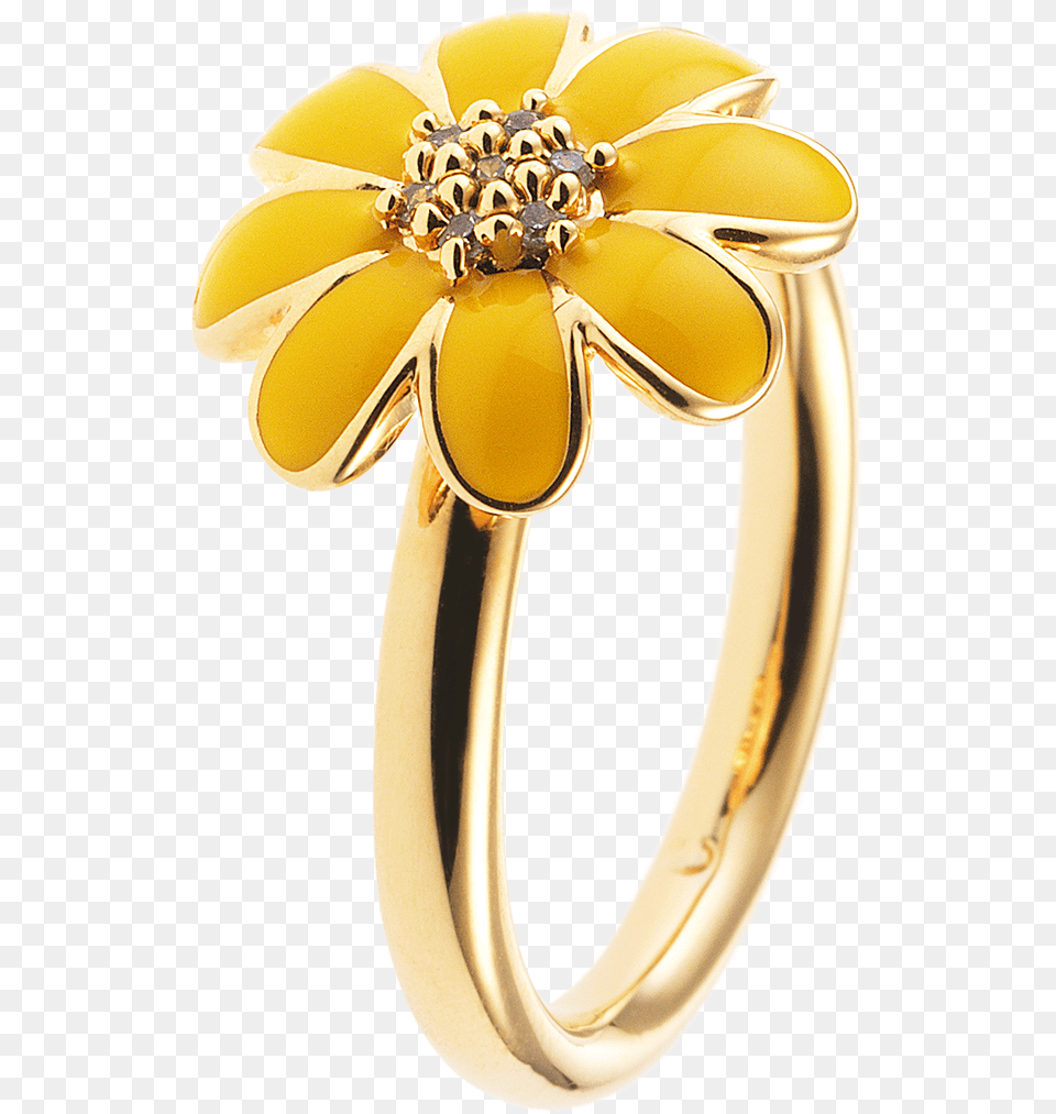 Pre Engagement Ring, Accessories, Gold, Jewelry Free Png Download