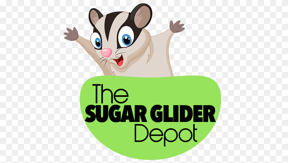 Pre Made Toy Store United States Sugar Glider Depot, Animal, Mammal, Pig, Advertisement Free Png