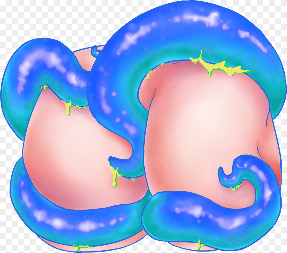 Pre Order Tentacle Butt Charms Wishes Come True, Body Part, Stomach Free Png Download