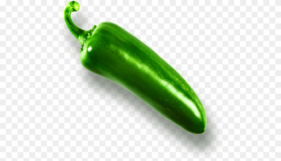 Precio De Chile Zucchini, Food, Produce, Pepper, Plant Png Image