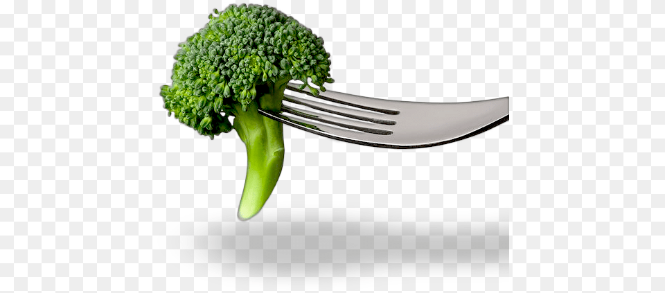 Preconceive Fork Broccoli, Cutlery, Food, Plant, Produce Free Png