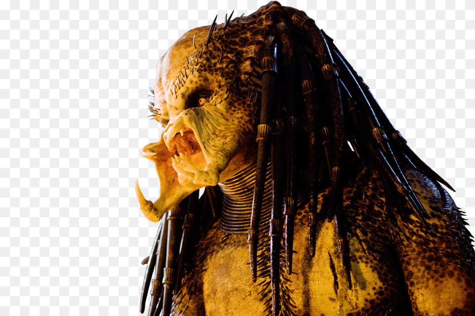 Predator, Alien, Head, Person Free Transparent Png