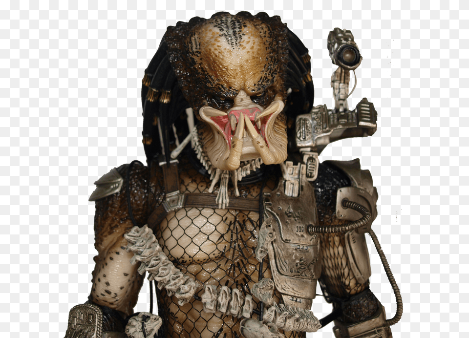 Predator, Adult, Bride, Female, Person Free Transparent Png