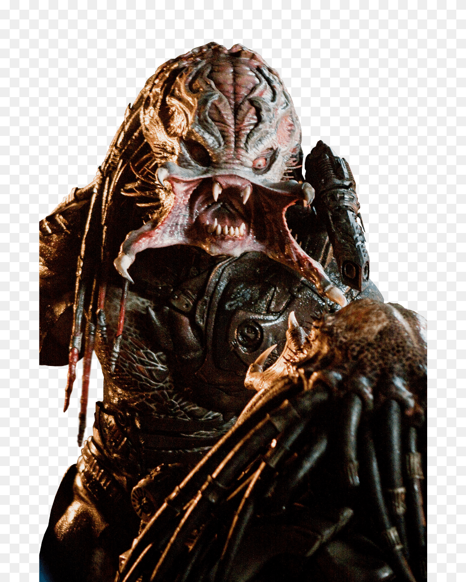 Predator, Alien, Adult, Female, Person Png