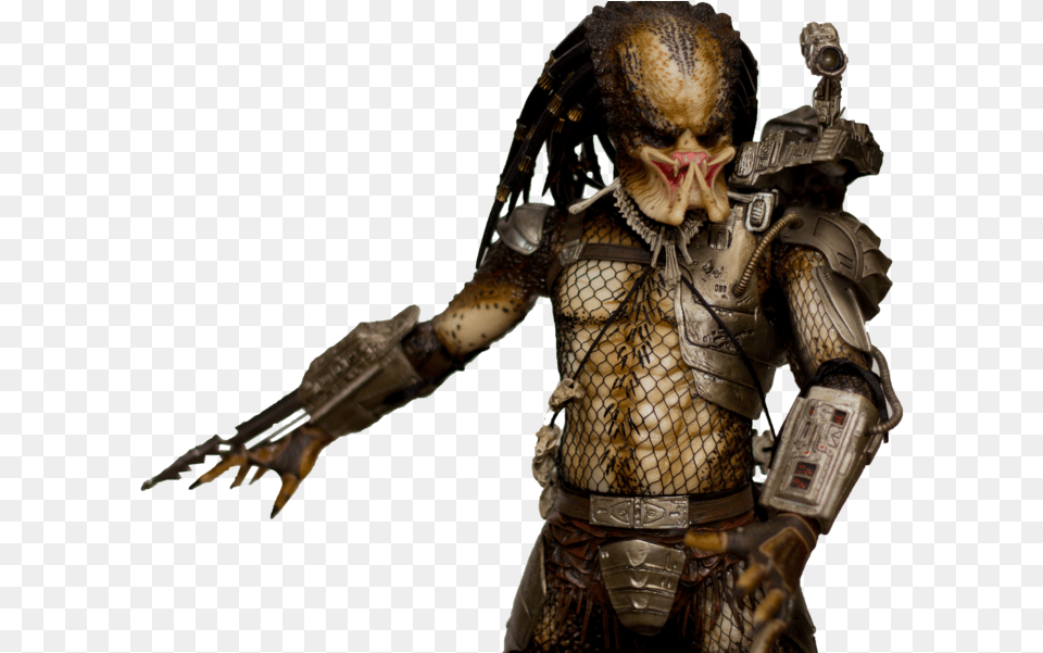 Predator, Adult, Male, Man, Person Png