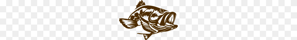 Predator Bass Fish, Person, Animal, Sea Life Free Png Download