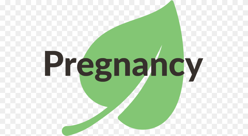 Pregnancy Magnetic Io, Leaf, Plant, Herbal, Herbs Free Png