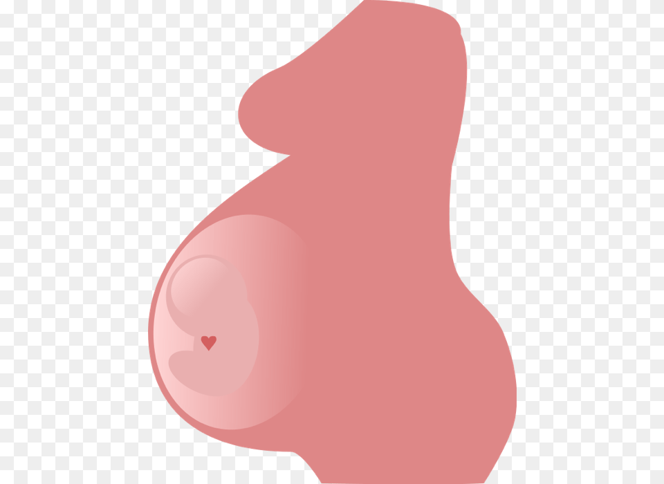Pregnancy Transparent Background Side View Of A Pregnant Woman, Snout, Person Free Png
