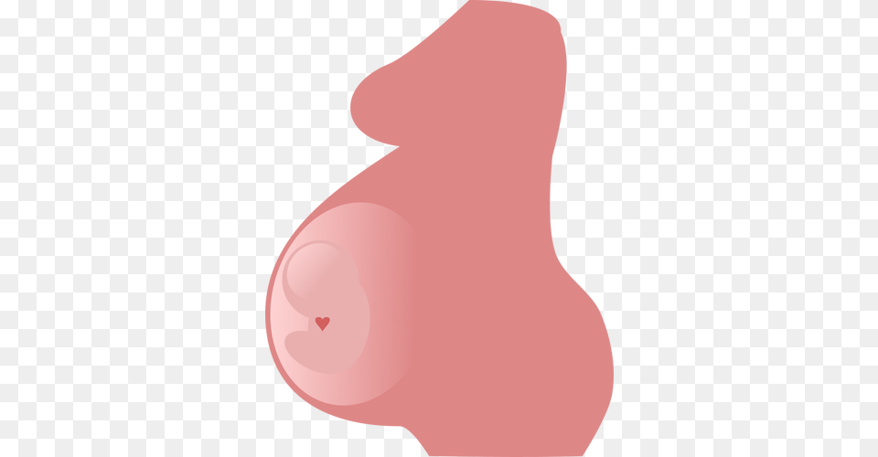 Pregnancy Vector Image, Snout, Adult, Female, Person Png