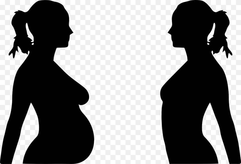 Pregnant And Non Pregnant, Gray Free Png