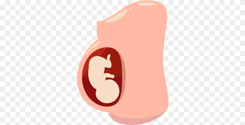 Pregnant Belly Icon Of Flat Reproduction, Food, Meat, Pork Free Png