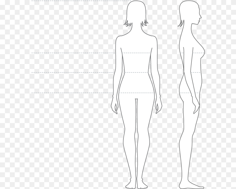 Pregnant Woman Front Silhouette, Adult, Chart, Female, Measurements Png Image