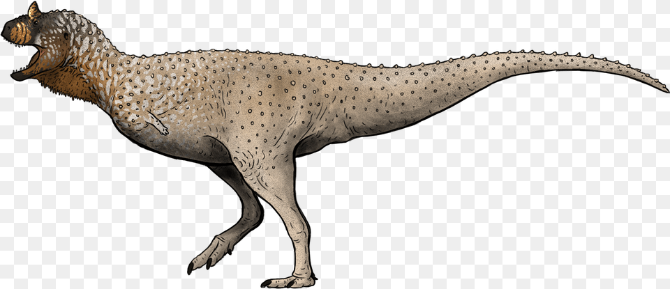 Prehistoric Kingdom Carnotaurus, Animal, Dinosaur, Reptile, T-rex Free Transparent Png