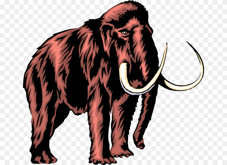 Prehistoric Woolly Mammoth, Adult, Male, Man, Person Png