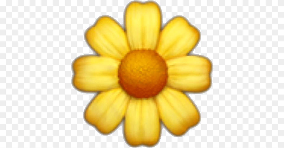 Premades Premade Overay Sticker Yellow Flower Emoji, Daisy, Petal, Plant, Anemone Free Png