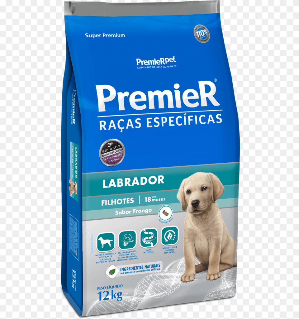 Premier Especficas Labrador Ces Filhotes Para Labrador Filhote, Animal, Canine, Dog, Mammal Png Image