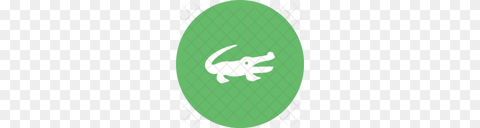 Premium Alligator Icon Download, Disk, Animal, Crocodile, Reptile Free Transparent Png