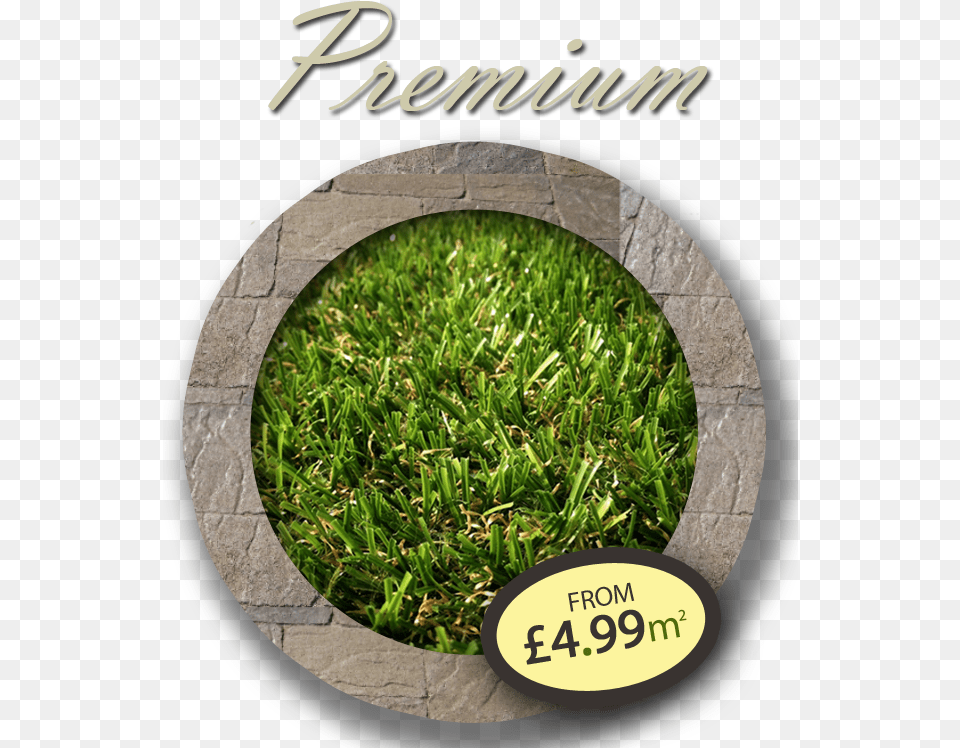 Premium Artificial Grass Lawn, Plant, Moss, Vegetation, Machine Free Transparent Png