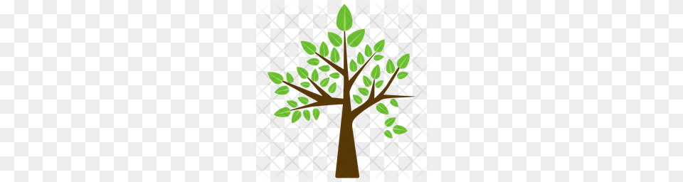 Premium Birch Tree Icon, Green, Leaf, Plant, Potted Plant Free Png