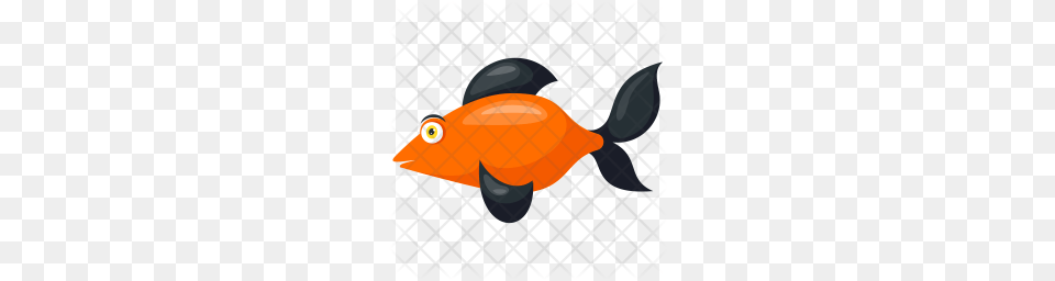 Premium Black Smudge Goldfish Icon Download, Animal, Fish, Sea Life, Aircraft Free Transparent Png