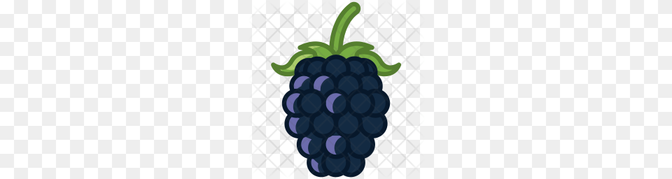 Premium Blackberry Icon Download, Berry, Food, Fruit, Plant Free Transparent Png