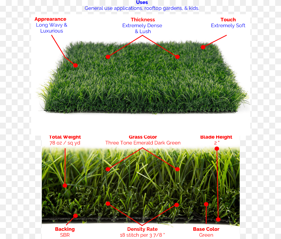 Premium Blade Grass Lush Synthetic Grass Lush Dark Green Grass, Lawn, Moss, Plant, Vegetation Png