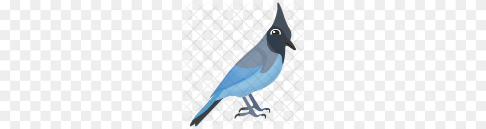 Premium Blue Jay Icon Download, Animal, Bird, Blue Jay, Bluebird Png Image