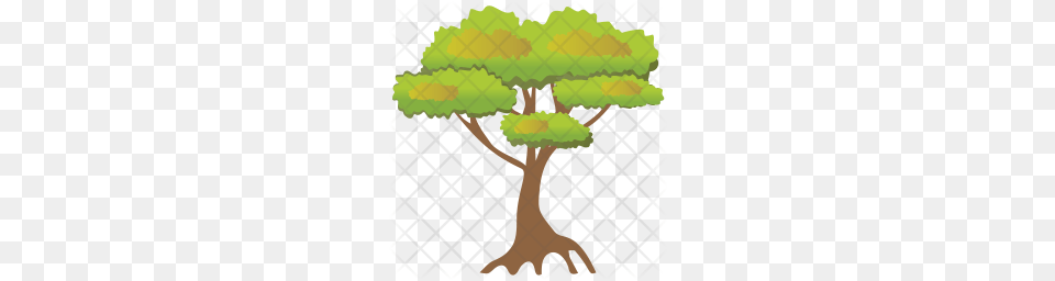 Premium Bonsai Icon Download, Plant, Potted Plant, Tree, Vegetation Free Transparent Png