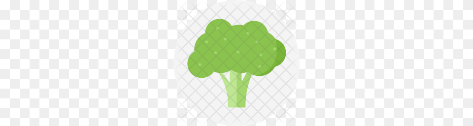 Premium Broccoli Green Plant Vegetable Cabbage Food Spinach, Produce Free Transparent Png