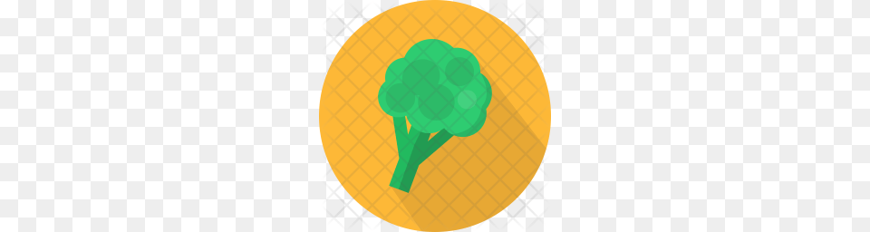 Premium Broccoli Icon Food, Plant, Produce, Vegetable Free Png Download